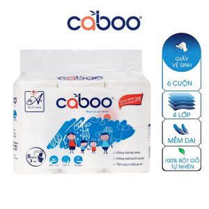 Giấy vệ sinh (túi 6 cuộn)