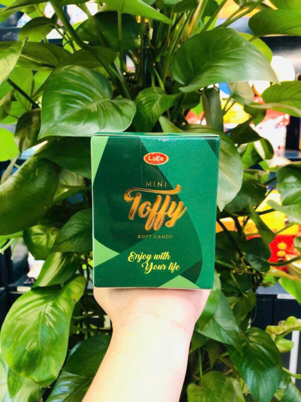 Kẹo mềm hương trái cây Mini Toffy (Hộp vuông 100gr & chữ nhật 180gr)