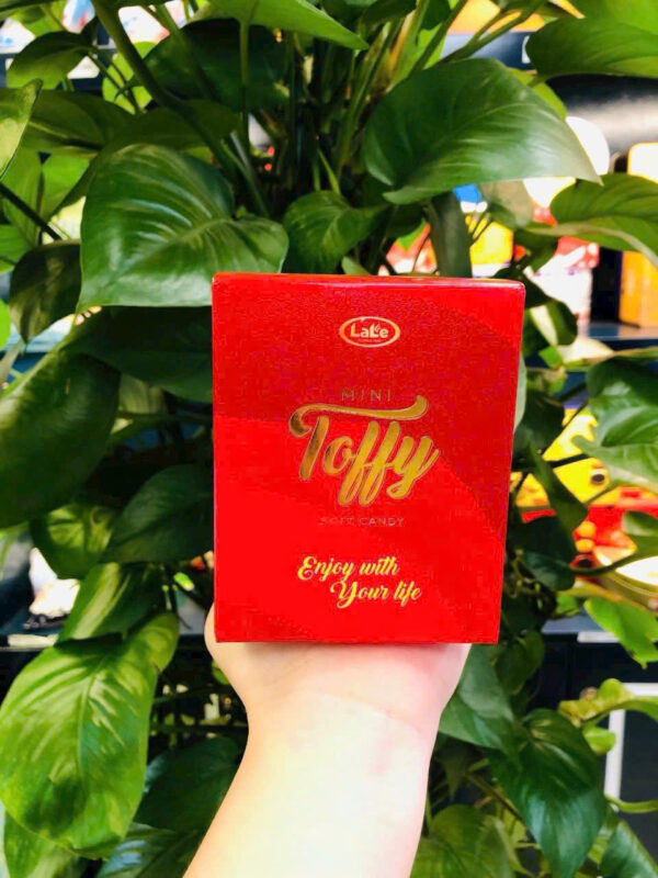 Kẹo mềm hương trái cây Mini Toffy (Hộp vuông 100gr & chữ nhật 180gr) - Hình ảnh 3