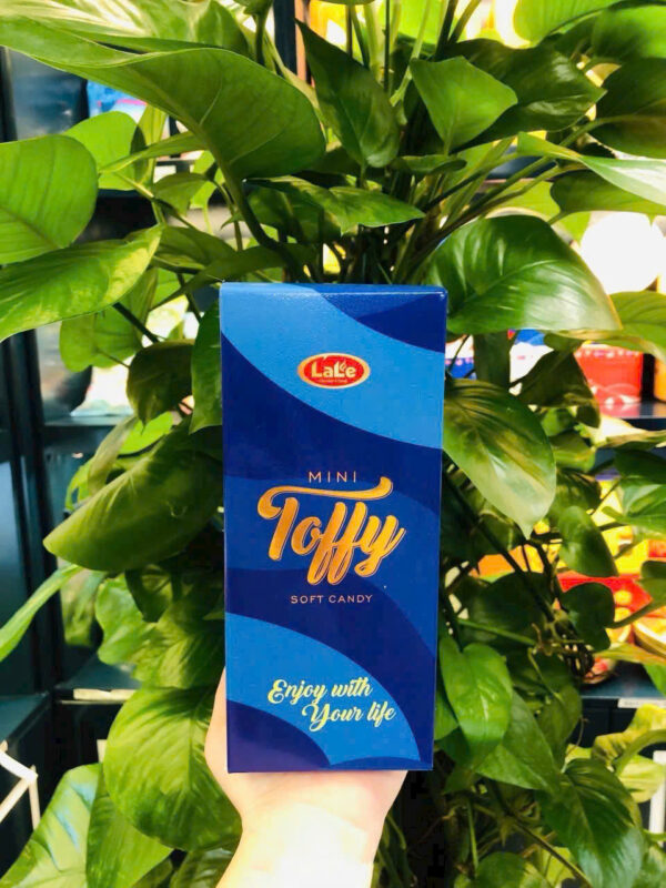 Kẹo mềm hương trái cây Mini Toffy (Hộp vuông 100gr & chữ nhật 180gr) - Hình ảnh 7