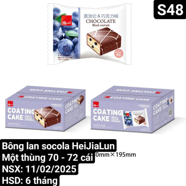 Bánh bông lan COATING CAKE - Hình ảnh 3