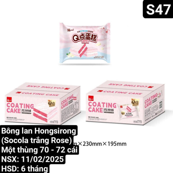 Bánh bông lan COATING CAKE